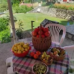 Pensión The Cave 3*